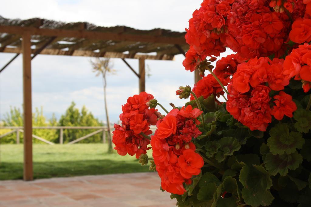 Atalaya De La Campina Hotel Córdoba Kültér fotó