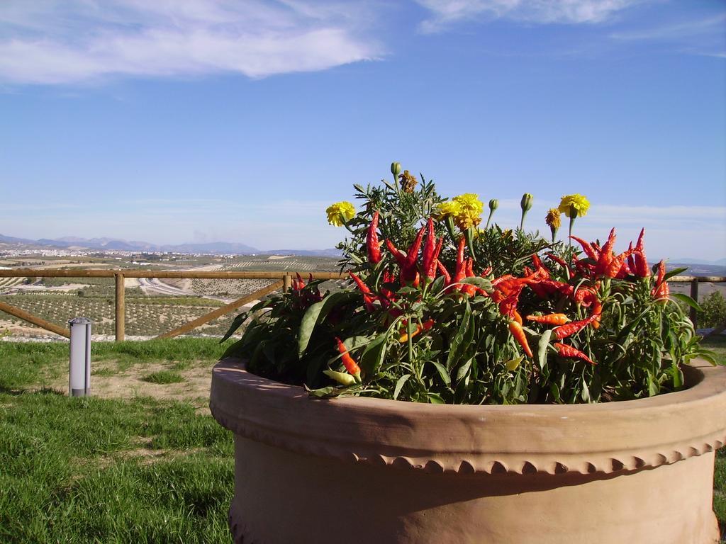 Atalaya De La Campina Hotel Córdoba Kültér fotó